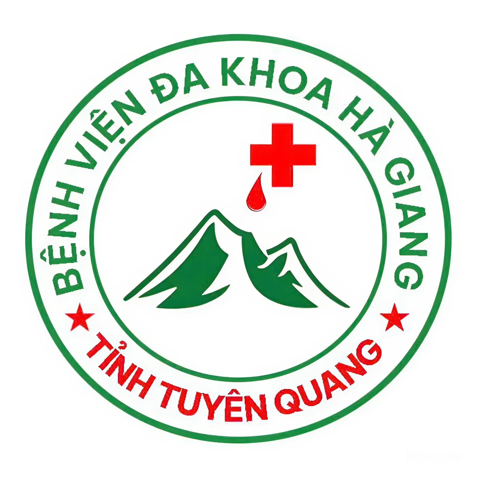 logo benhviendakhoahagiang